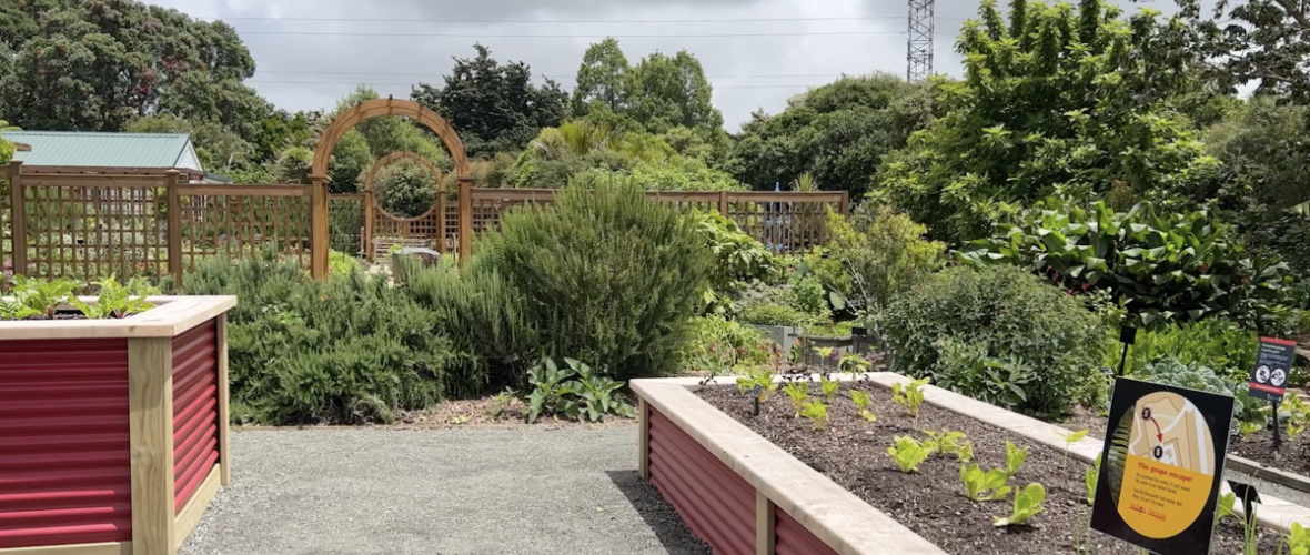 Auckland’s Botanic Gardens
