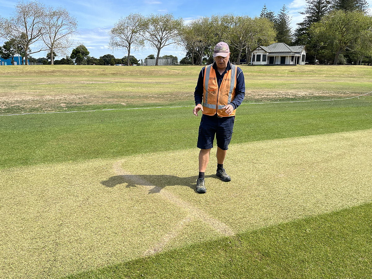 Cricket pitch damage web 2