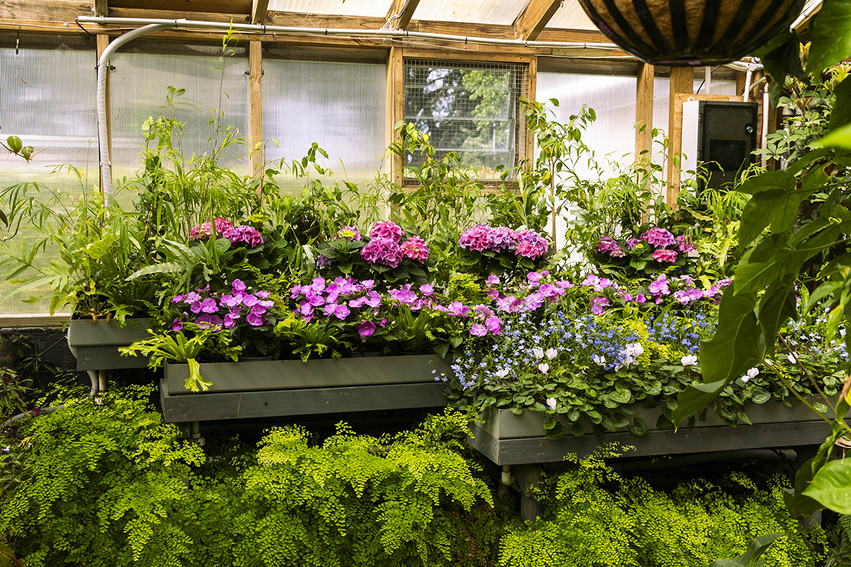 Tropical House Spring display web