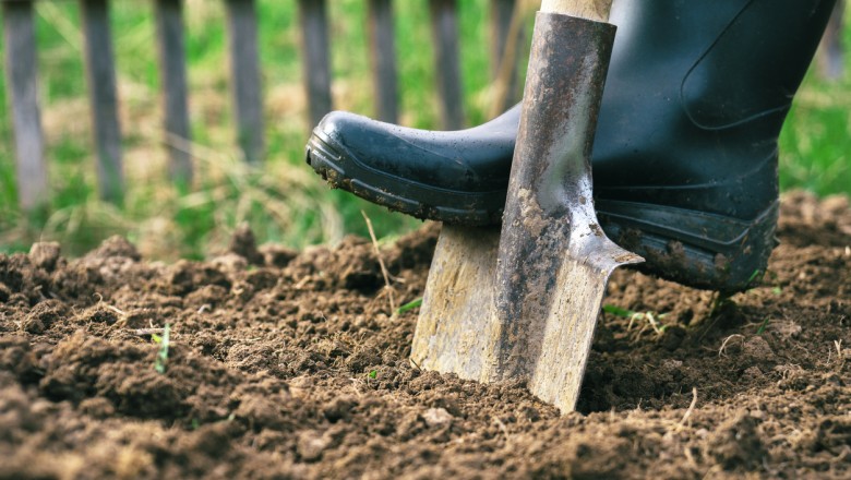 gumboots