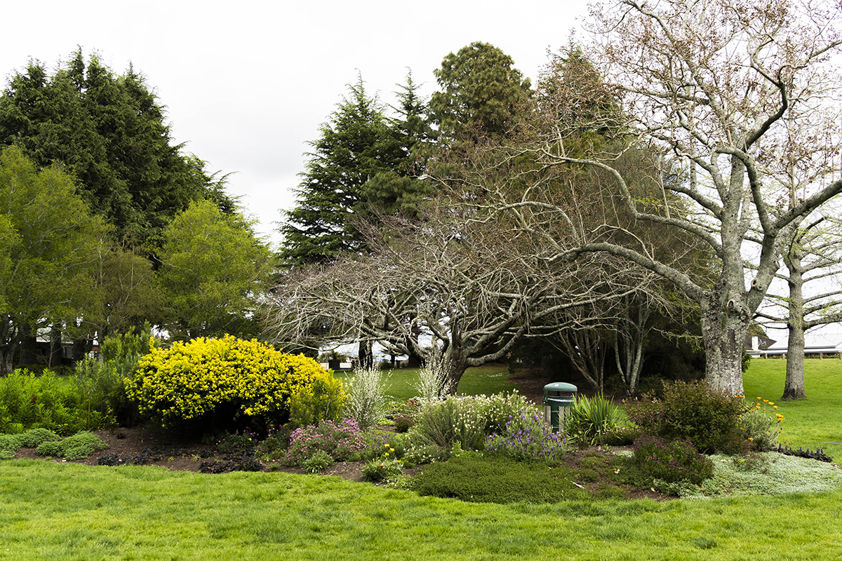 Yatton Park web