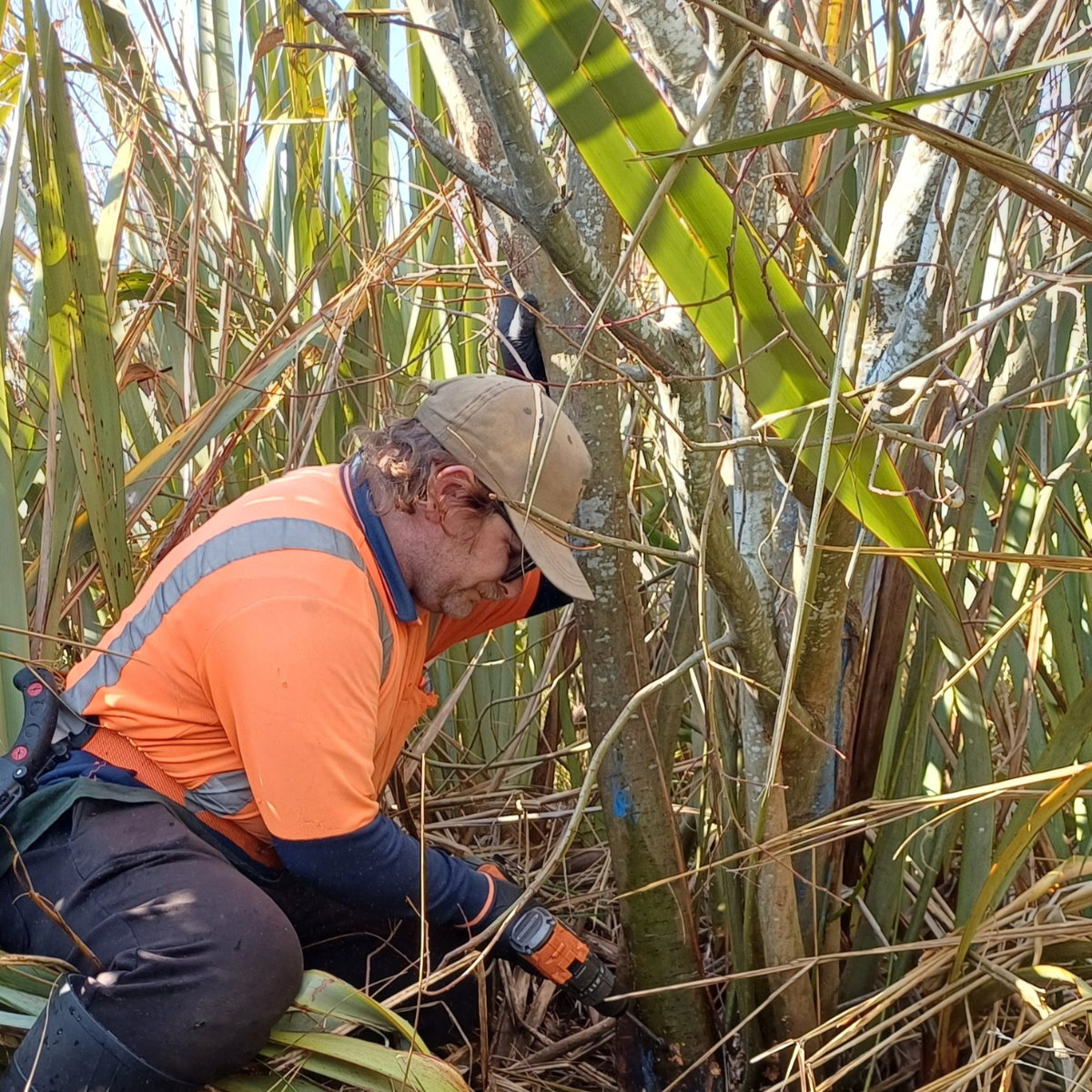 Liam Foote Ecological Restoration 2